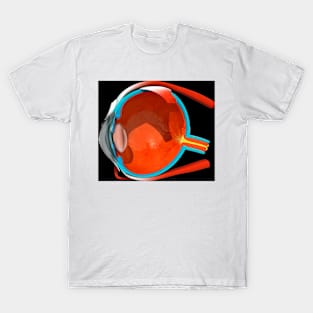 Eye anatomy (C008/7545) T-Shirt